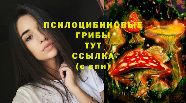 экстази Майский