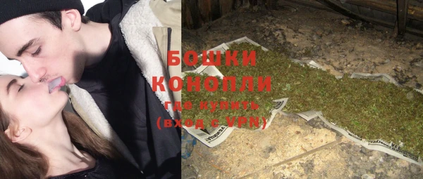 молекула духа Лихославль