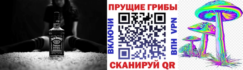 Галлюциногенные грибы прущие грибы  Купить  Бавлы 